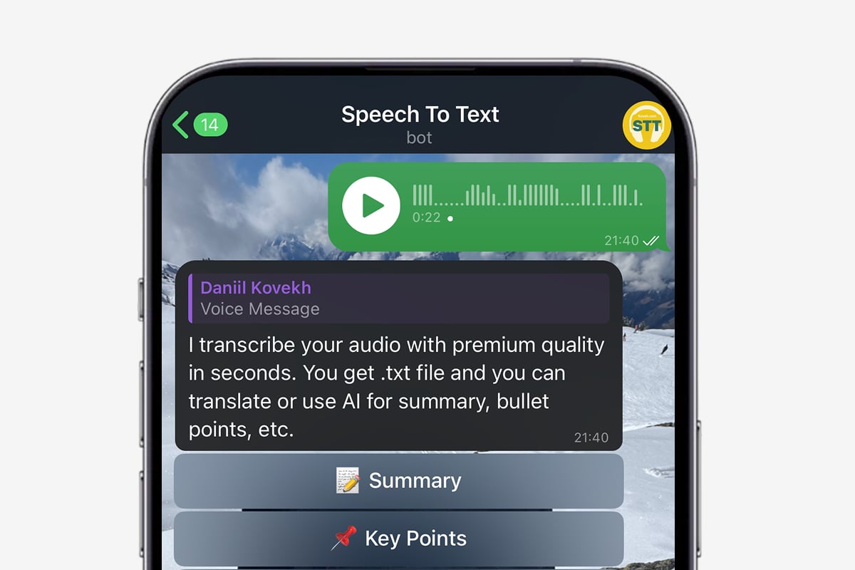 Speech Into Text