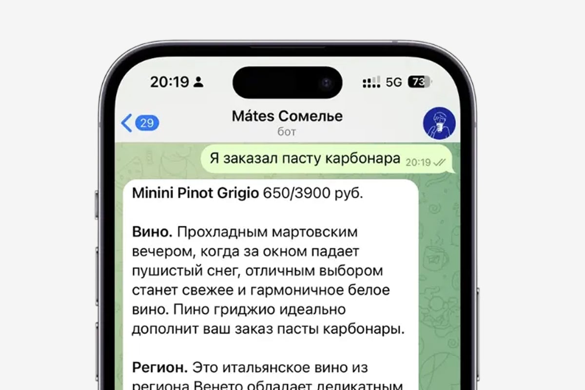 Winepair bot